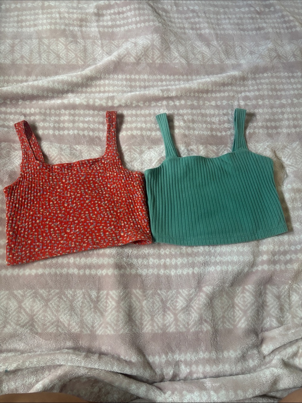 American Eagle Outfitters Red Floral Knit & Teal Ribbed Crop Tank Duo